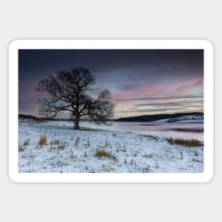 Derwent Reservoir Sunset Sticker